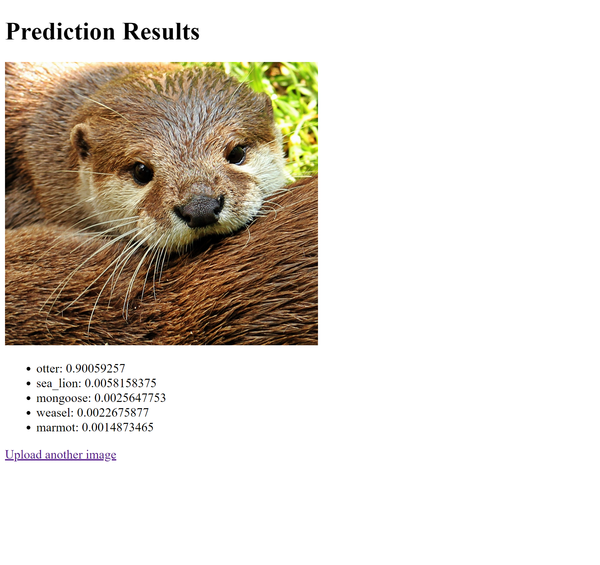 Detect.objet Img 1